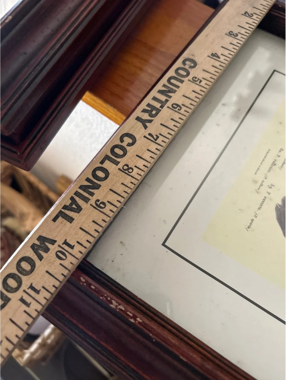 Vintage Wooden Picture Frame with Shell Print Art